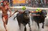 AWBI Animal Welfare Board of India,  imposes SC orders on local traditional  Kambala
